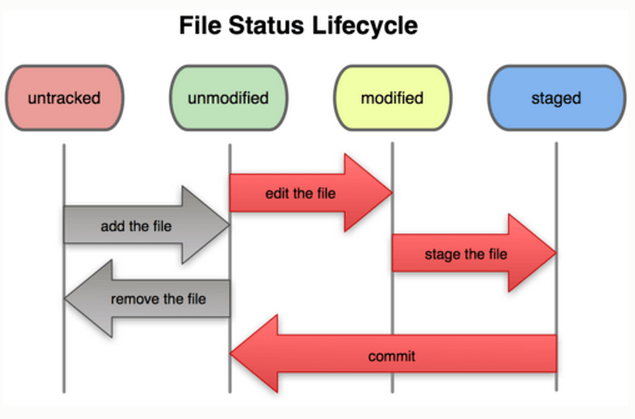 FileStatusLifeCycle_Git.png