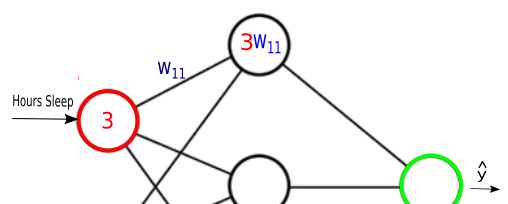 Synapsis-3w11.png
