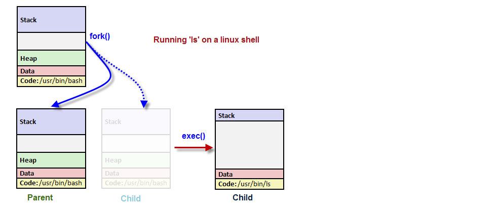 Отсутствует аргумент у exec linux