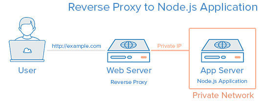 reverse proxy website