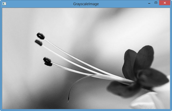 flower_grayscale.png