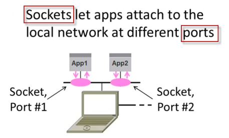 socket server sockets client port applications cplusplus